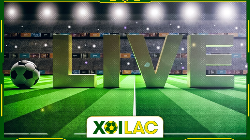 Xoilac TV – Chuyên trang thể thao lớn hàng đầu thị trường