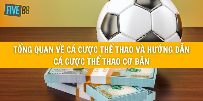 Hướng dẫn cá cược thể thao cho người mới bắt đầu