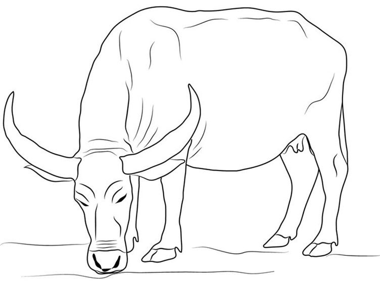Xem ngay hơn 50 vẽ con bò ăn cỏ với nhiều phong cách độc đáo