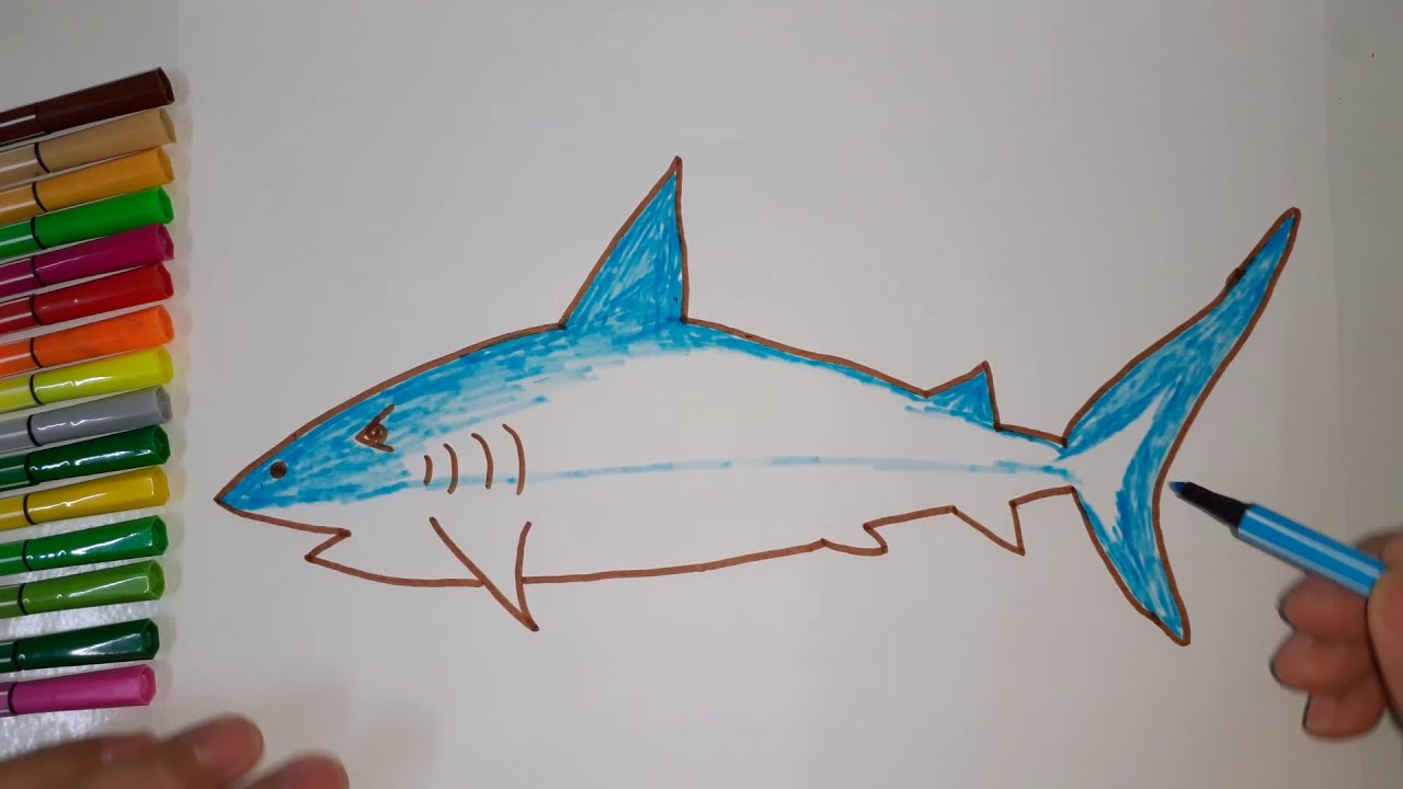 Tranh vẽ con cá hay nhất: Dành cho những người yêu thích nghệ thuật và thích khám phá tài năng của các họa sỹ, chúng tôi sẽ giới thiệu đến bạn những bộ tranh vẽ con cá hay nhất. Bạn sẽ được chiêm ngưỡng những bức tranh tuyệt đẹp, đầy sáng tạo và độc đáo mô tả hoàn hảo thế giới đại dương và những chú cá đầy màu sắc. Hãy đến với chúng tôi để khám phá nghệ thuật qua từng nét vẽ.